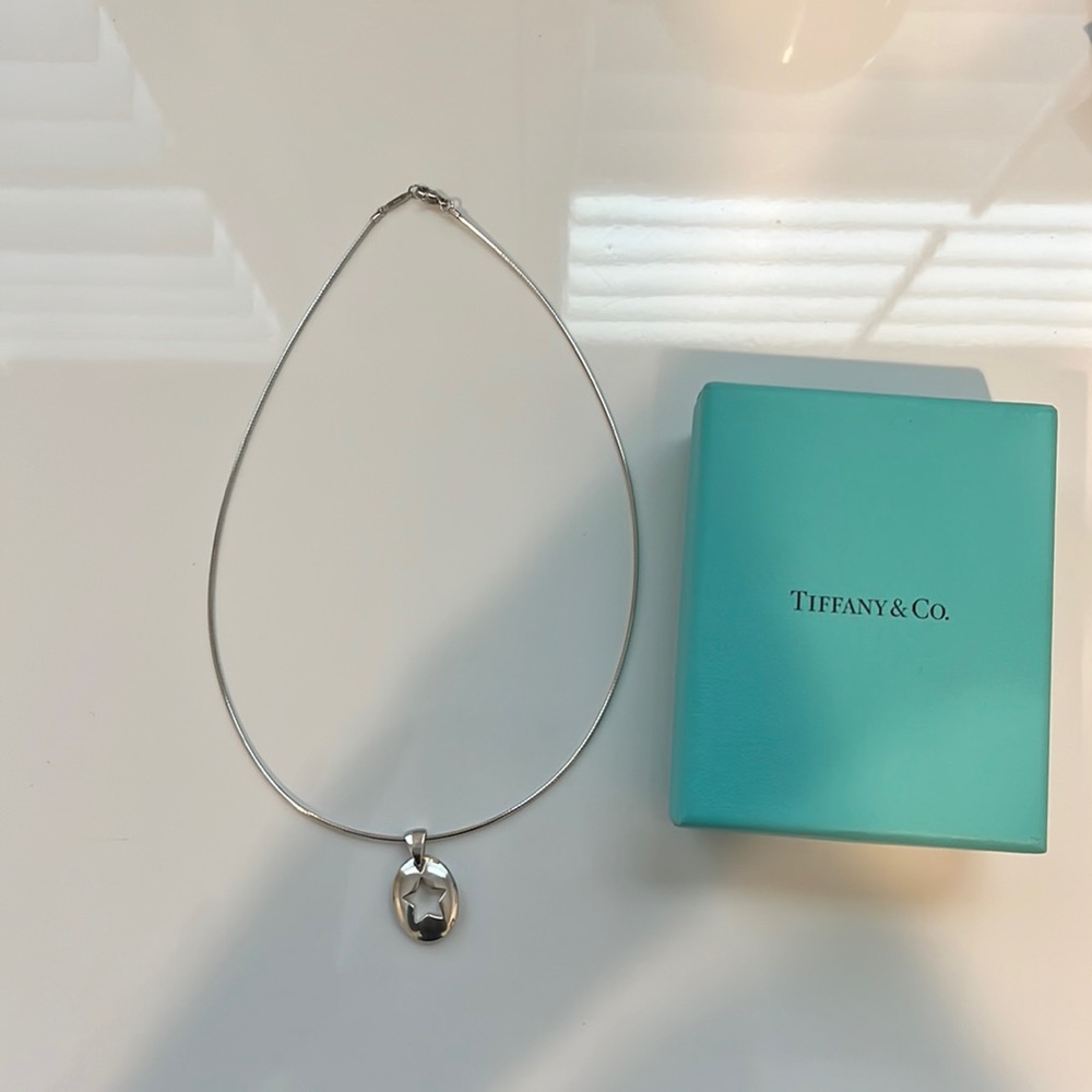 Tiffany & Co Star pendant snack chain necklace